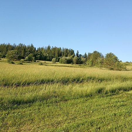 Villa Cicho Sza Czarna Góra Esterno foto